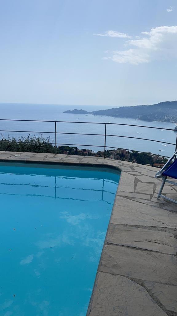 Paradise Apartment