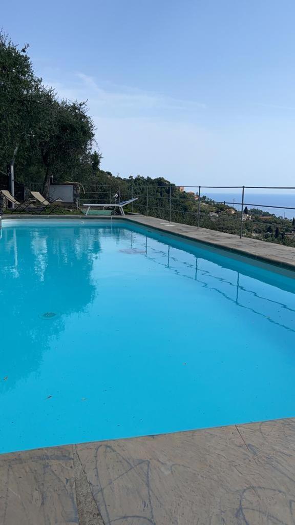 Appartement Paradise *